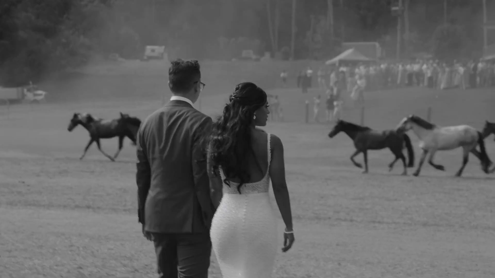 Black and white: a couple walking away as horses run across the field behind them
